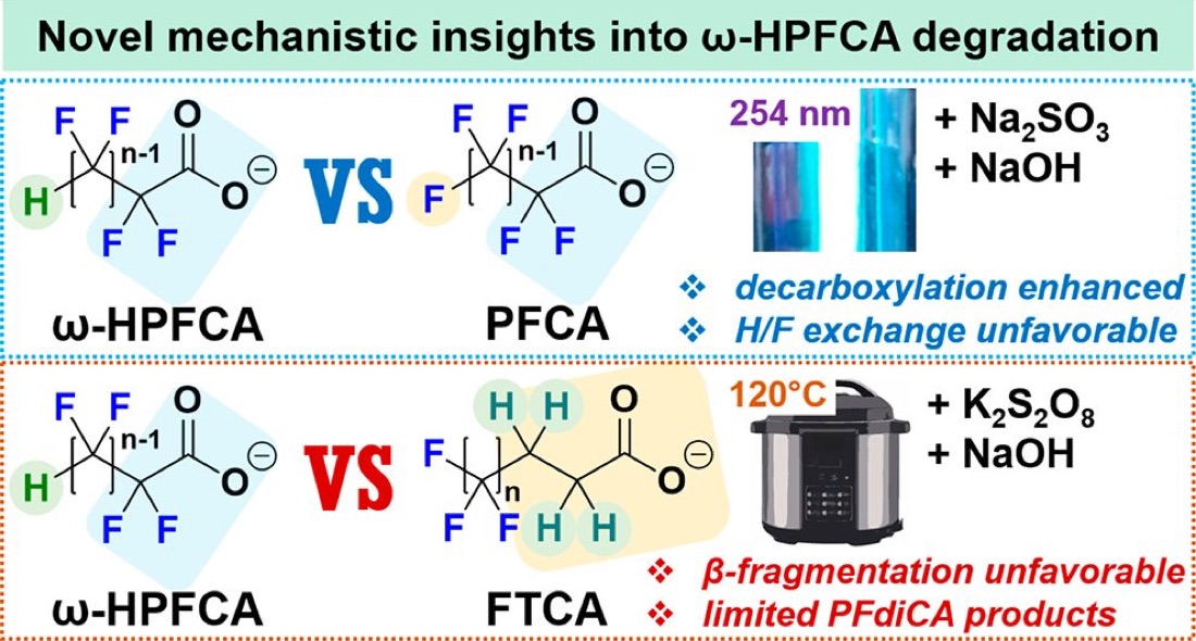 Graphical abstract comparing how a terminal hydrogen changes PFAS defluorination.